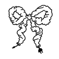 Cord Cover